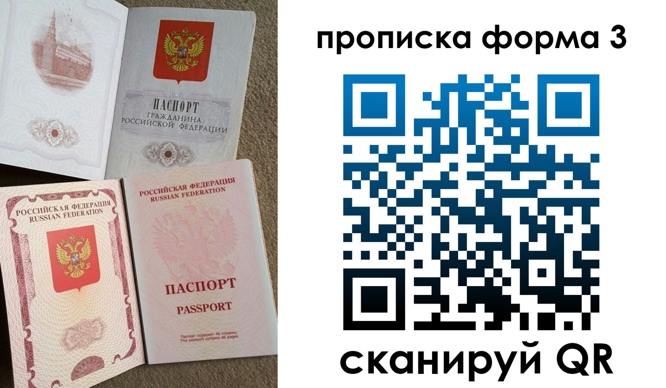 временная регистрация поиск в Курской области